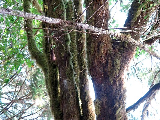 Panorama point campground - 93