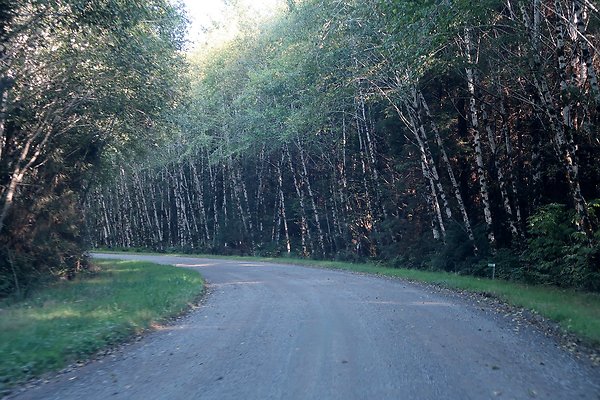 Quinault River Road COUNTY - 47