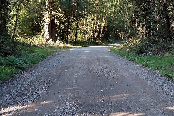 Quinault River Road COUNTY - 30
