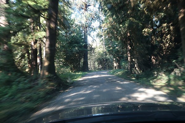 Quinault River Road COUNTY - 44