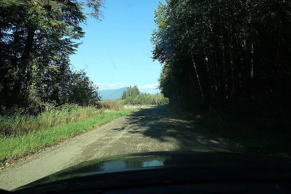 Quinault River Road COUNTY - 55