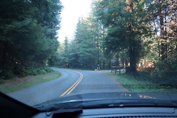 Quinault River Road COUNTY - 14