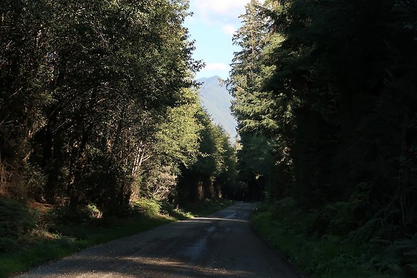 Quinault River Road COUNTY - 67