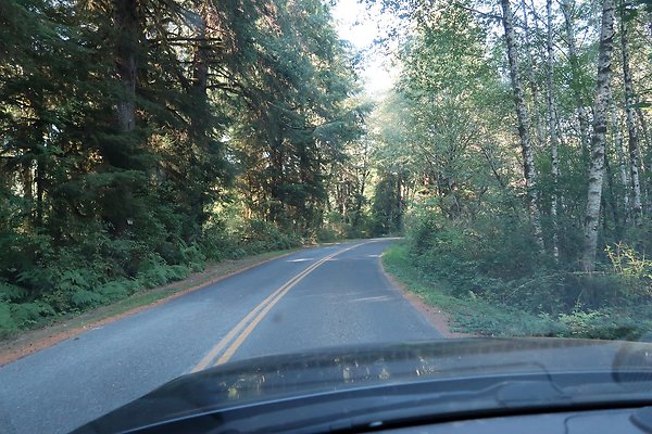 Quinault River Road COUNTY - 18