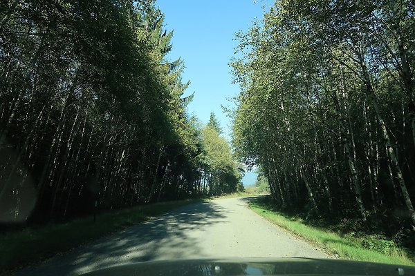 Quinault River Road COUNTY - 53