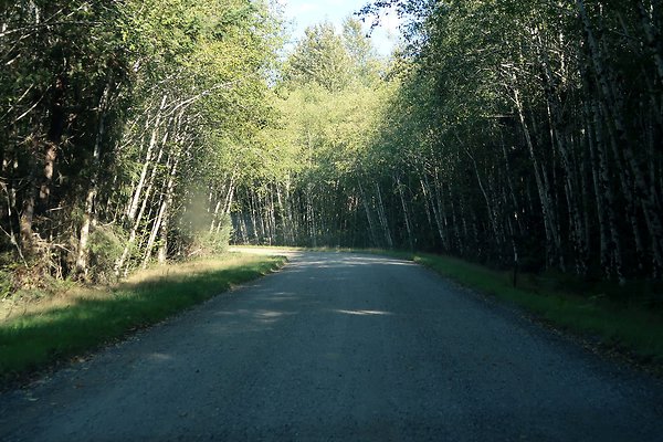 Quinault River Road COUNTY - 51