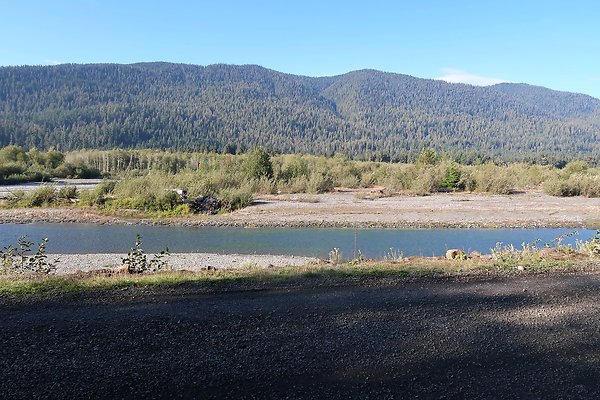 Quinault River Road COUNTY - 62