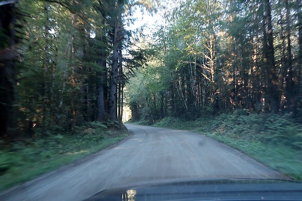 Quinault River Road COUNTY - 35