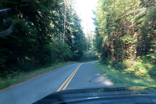 Quinault River Road COUNTY - 12