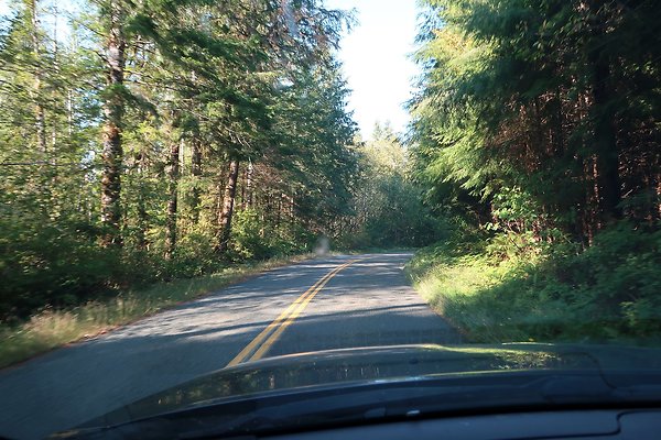 Quinault River Road COUNTY - 9