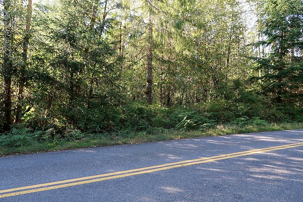 Quinault River Road COUNTY - 7