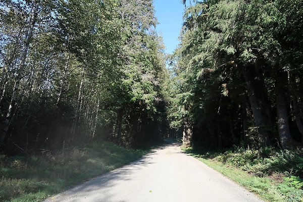 Quinault River Road COUNTY - 66