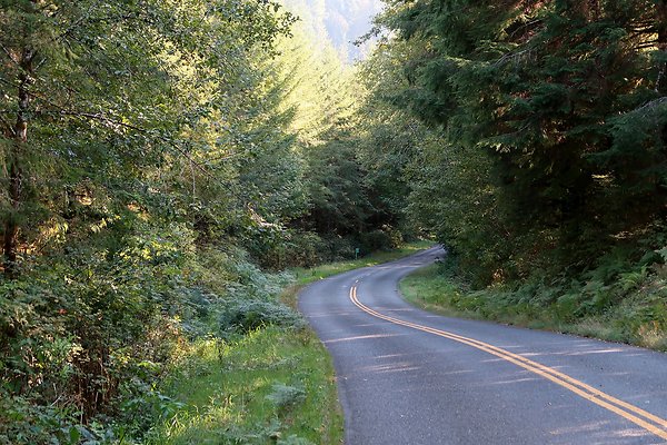 Quinault River Road COUNTY - 3