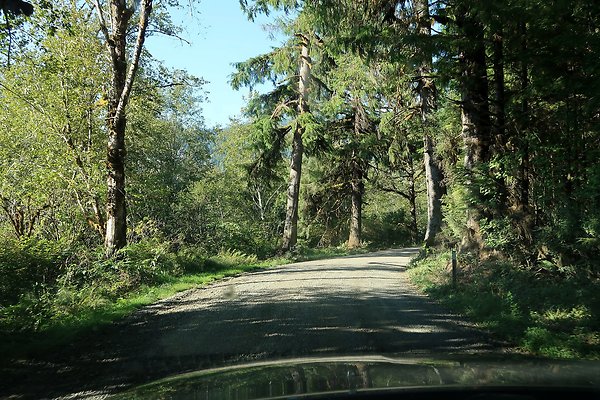 Quinault River Road COUNTY - 38
