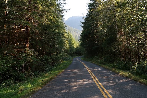Quinault River Road COUNTY