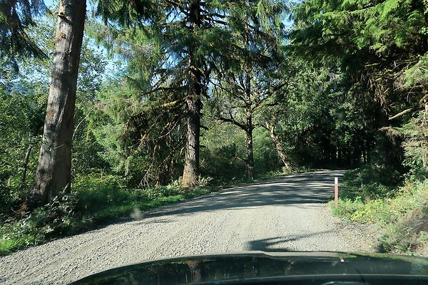 Quinault River Road COUNTY - 39