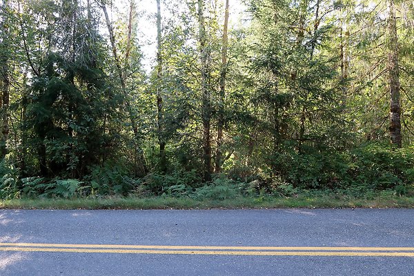 Quinault River Road COUNTY - 6