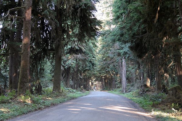 Quinault River Road COUNTY - 69