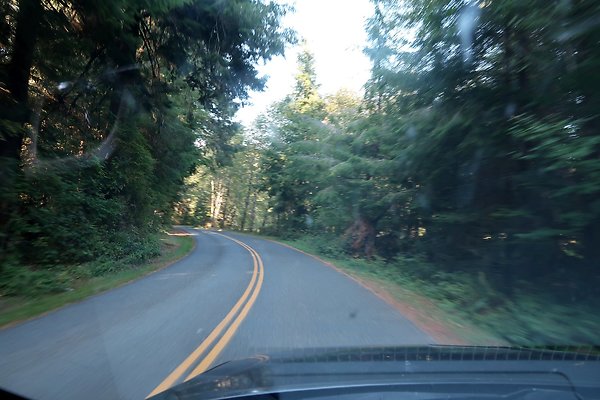 Quinault River Road COUNTY - 15