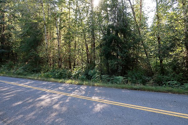 Quinault River Road COUNTY - 5