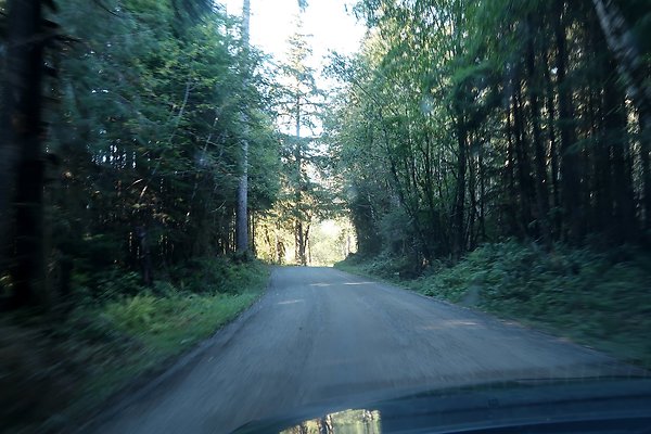 Quinault River Road COUNTY - 36