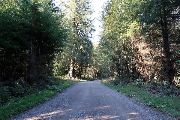 Quinault River Road COUNTY - 29