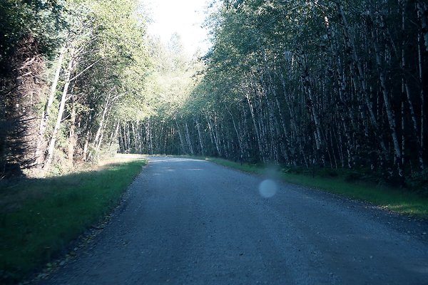 Quinault River Road COUNTY - 50