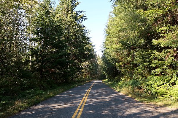 Quinault River Road COUNTY - 2