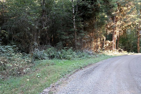 Quinault River Road COUNTY - 23
