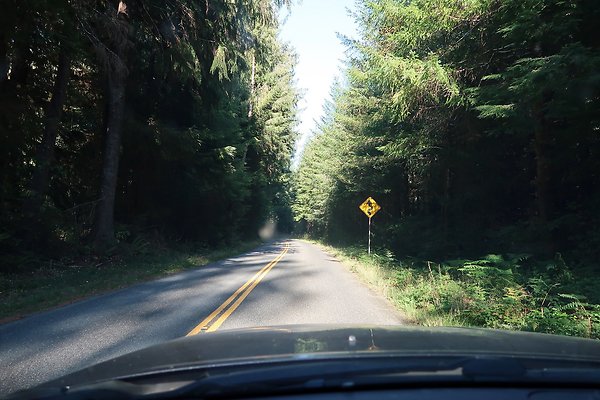 Quinault River Road COUNTY - 13