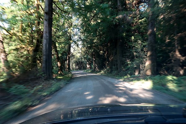 Quinault River Road COUNTY - 43