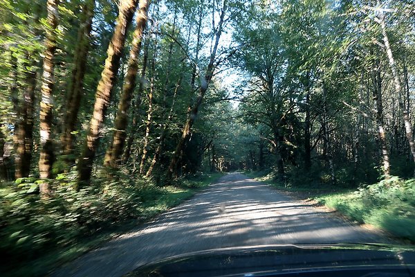Quinault River Road COUNTY - 32