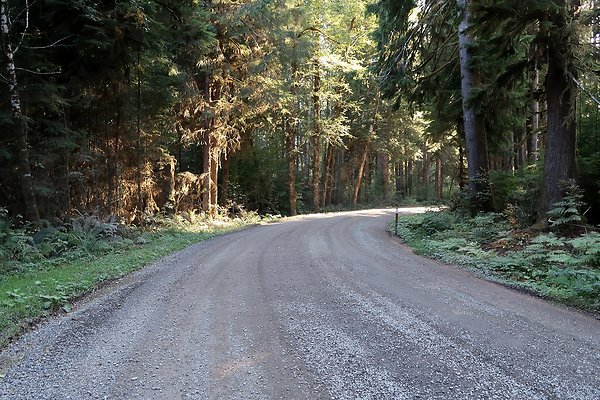 Quinault River Road COUNTY - 24