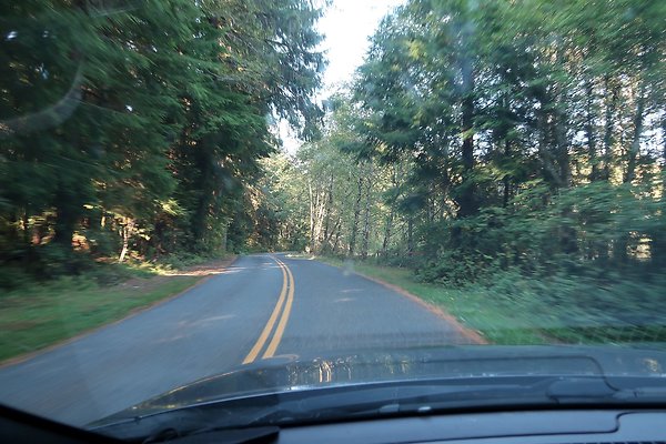 Quinault River Road COUNTY - 16