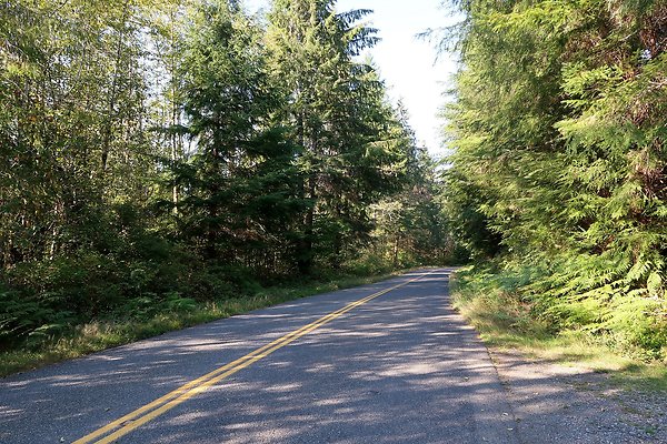 Quinault River Road COUNTY - 8