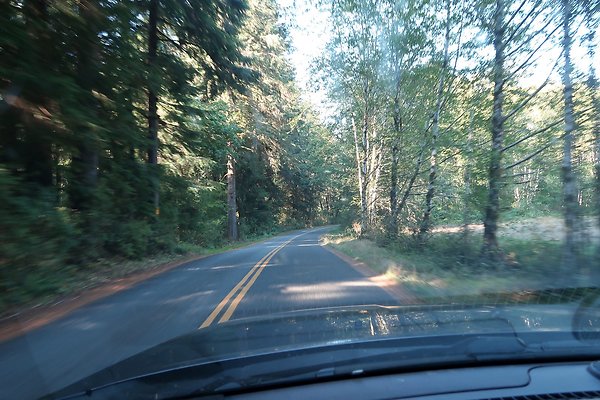 Quinault River Road COUNTY - 17