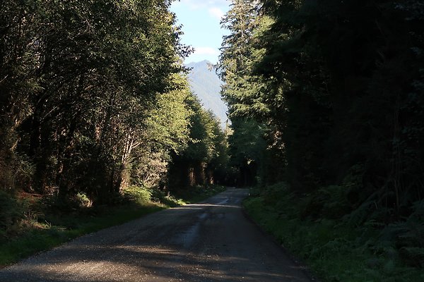 Quinault River Road COUNTY - 68