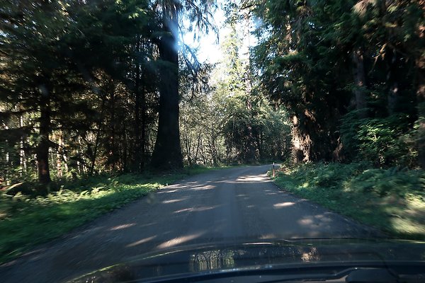 Quinault River Road COUNTY - 45