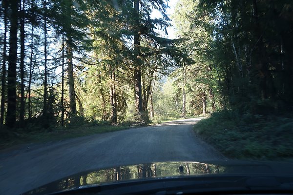 Quinault River Road COUNTY - 37