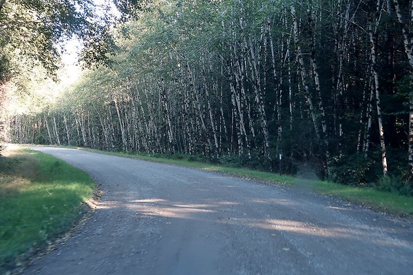Quinault River Road COUNTY - 49
