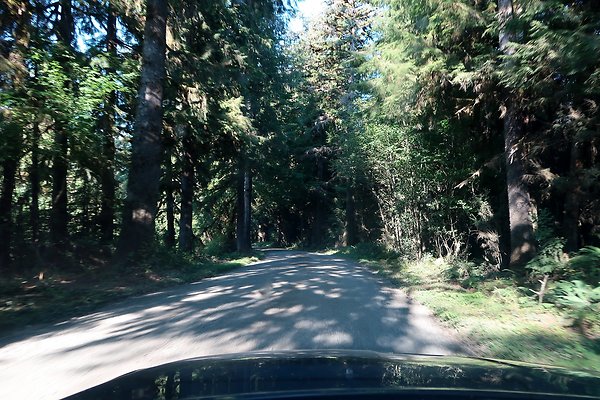 Quinault River Road COUNTY - 42
