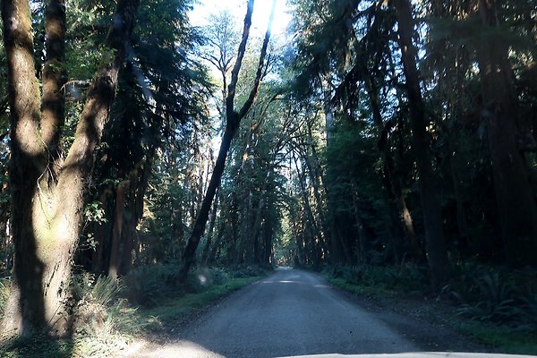 Quinault River Road COUNTY - 72