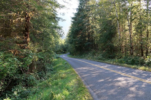 Quinault River Road COUNTY - 4