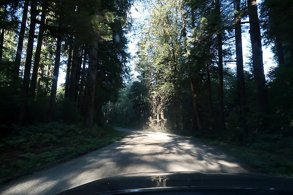 Quinault River Road COUNTY - 22