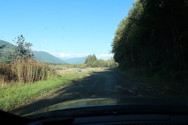Quinault River Road COUNTY - 56