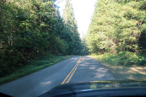 Quinault River Road COUNTY - 11