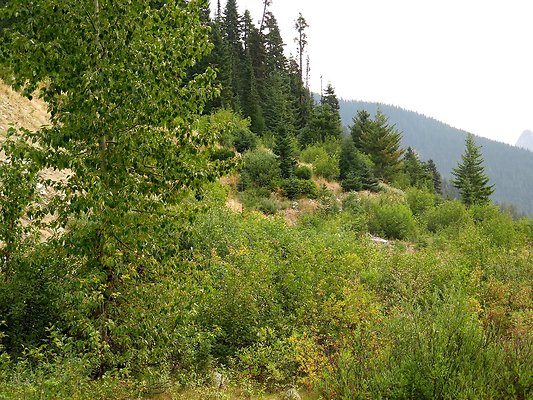 Bridge creek usfs trailhead - 72