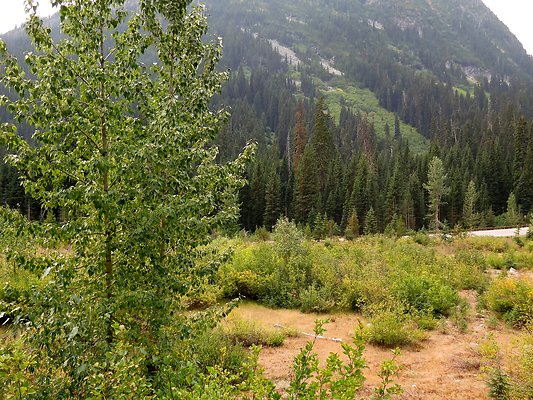 Bridge creek usfs trailhead - 43