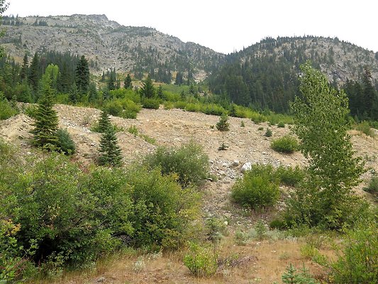 Bridge creek usfs trailhead - 17