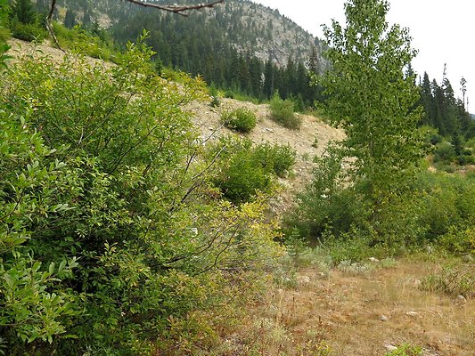 Bridge creek usfs trailhead - 69